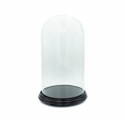 Redoma de Vidro C/ Base em Madeira 