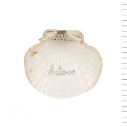 Concha de Batismo Concha de Batismo