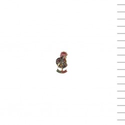 Pin's Diversos Pin's Diversos