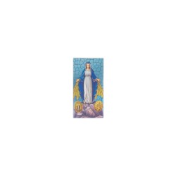 Placa C/ N.ª Sr.ª Milagrosa Color. 6x12cm