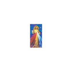 Placa C/ Jesus Misericordioso Color. 6x12cm