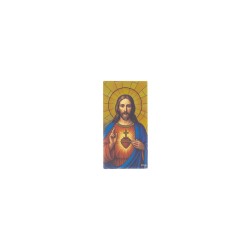 Placa C/ Sagrado Coração de Jesus Color. 6x12cm