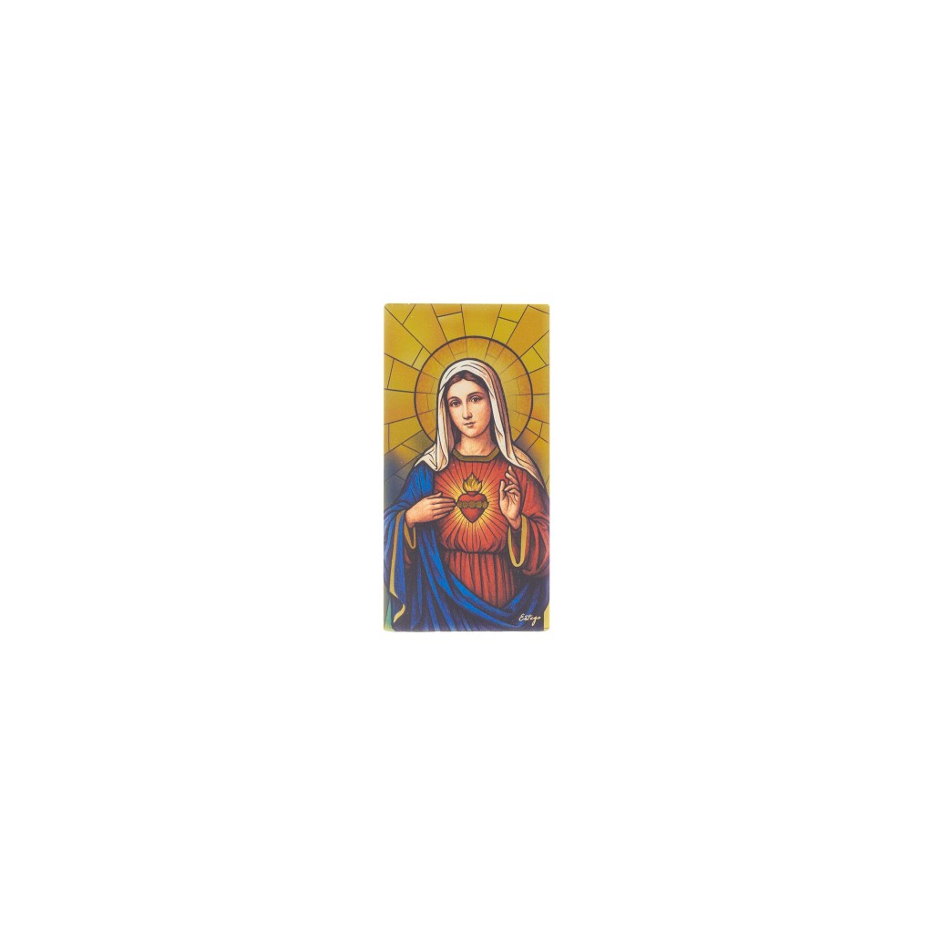 Placa C/ Sagrado Coração de Maria Color. 6x12cm