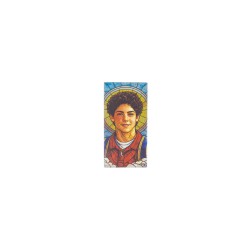Placa C/ St. Carlo Acutis Color. 6x12cm
