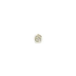 Presépio Noz Branco C/ Dourado 4.5cm Presépio Noz Branco C/ Dourado 4.5cm