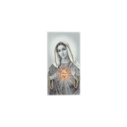 Quadro/ Placa C/ S. C. de Maria P/B 9x17.5cm Quadro/ Placa C/ S. C. de Maria P/B 9x17.5cm