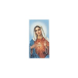 Quadro/ Placa C/ S. C. de Maria Color. 9x17.5cm Quadro/ Placa C/ S. C. de Maria Color. 9x17.5cm